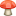 🍄